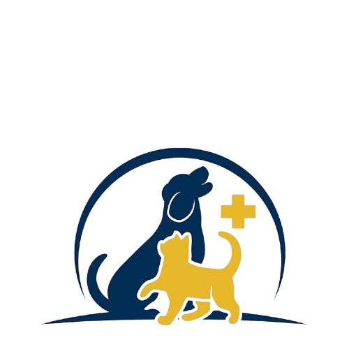 OC Vet Animal Hospital - Veterinary Care Laguna Woods CA